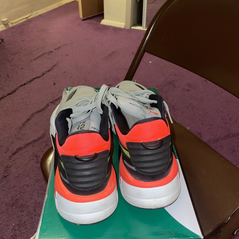 Pumas - Picture 4 of 4